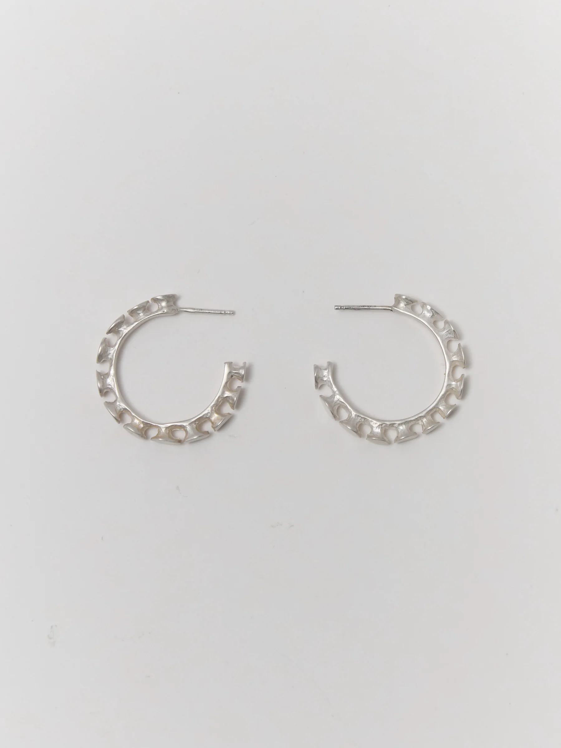 NAIL Hoops - Image 4